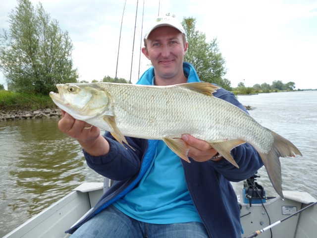 Van Nationaal Park Lauwersmeer tot aan de IJssel.