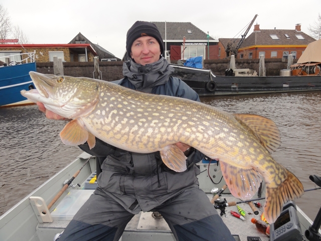 Een mooie snoek gevangen in Groningen.