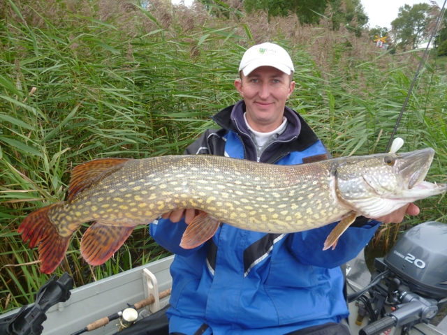 Gevangen in één van de Friese Elfsteden (111 cm).